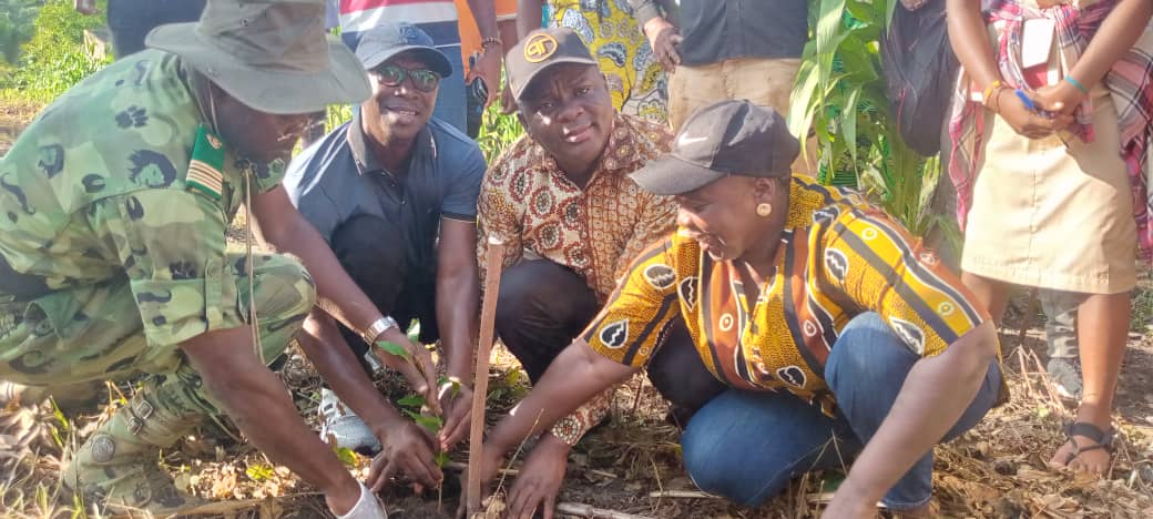 Journée nationale de l’arbre dans le Mono : Plusieurs plants mis en terre par le préfet Milohin et l’administration communale de Houéyogbé